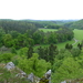 P1020069 - kopie