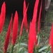 Flor 16