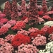 Flor 2