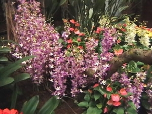 Flor 57