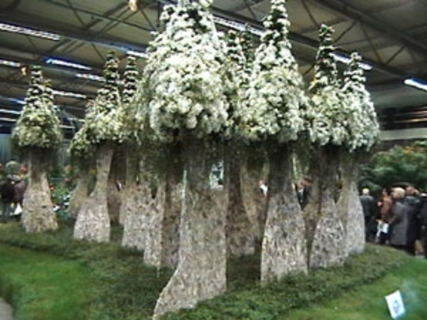 Flor 59