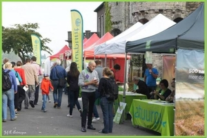 Natuurpunt Antwerpen Stad.