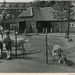 1956 Zuiderpark, kinderboerderij.