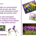 Kleine meme project 25.1