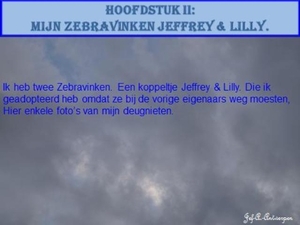 Hoofdstuk II Mijn zebravinken Jeffrey - Lilly.