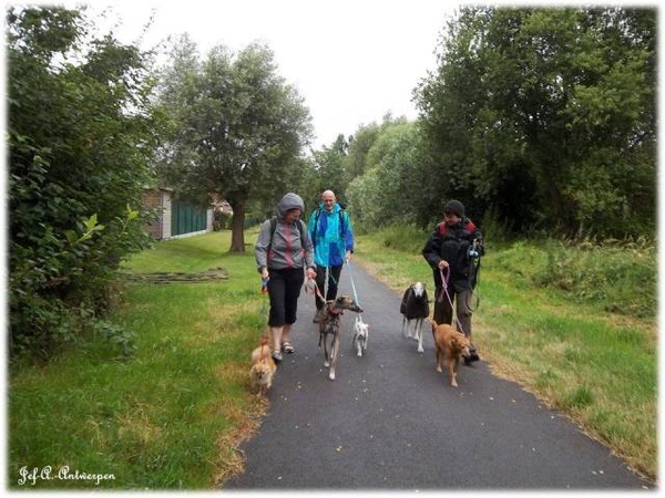 Antwerpen, Jef-A., Galgos