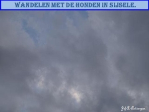 Wandelen met de honden in Sijsele.