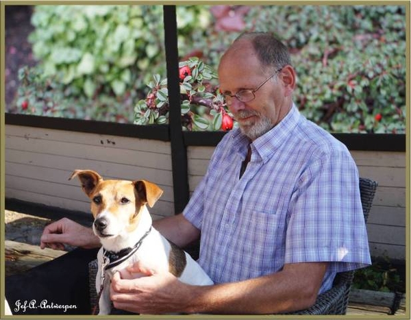 Jef-A., Schelle, Jack-Russell