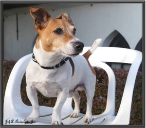 Boy op terras in Schelle.