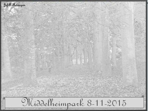 Middelheimpark. 8-11-2015