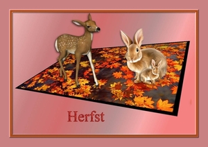 Herfst 3a Draw