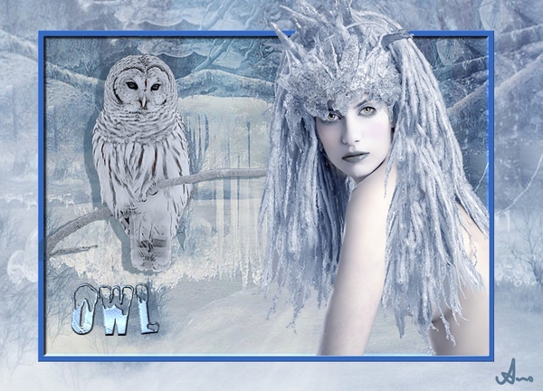 OWL_Background2