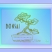 Bonsai no 2ans