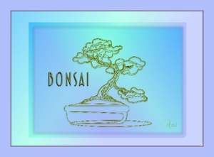 Bonsai no 2ans