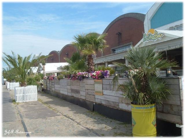 Antwerpen, Jef-A., Natuurfoto's,
