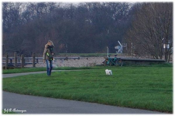 Antwerpen, Jef-A., Natuurfoto's,