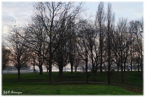 Tussen Sloepenweg en Schelde.