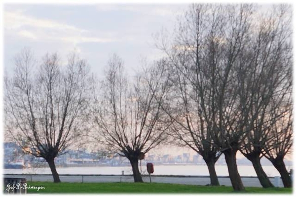 Antwerpen, Jef-A., Natuurfoto's,