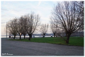 Tussen Sloepenweg en Schelde.