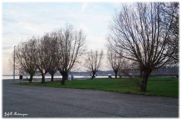 Antwerpen, Jef-A., Natuurfoto's,