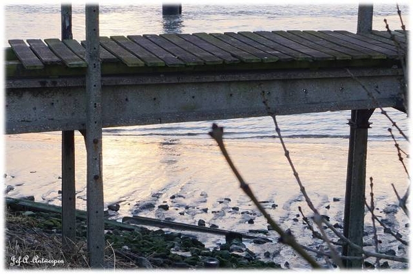 Antwerpen, Jef-A., Natuurfoto's, Scheldeboord,