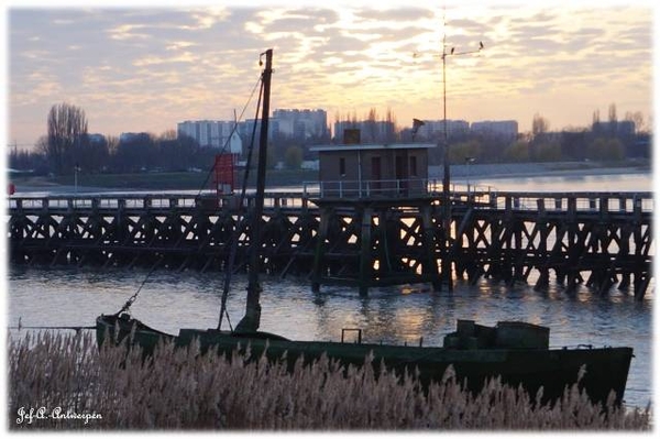 Antwerpen, Jef-A., Natuurfoto's, Scheldeboord,