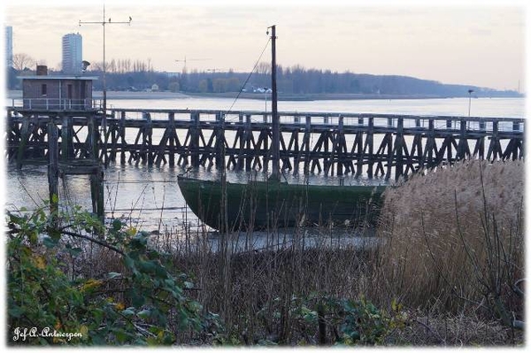 Antwerpen, Jef-A., Natuurfoto's, Scheldeboord,