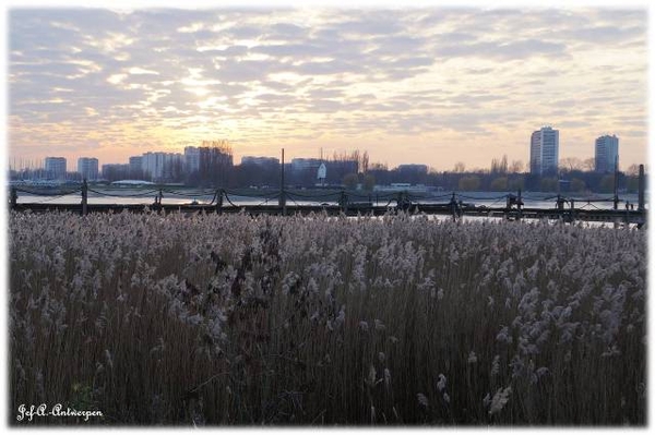 Antwerpen, Jef-A., Natuurfoto's, Scheldeboord,