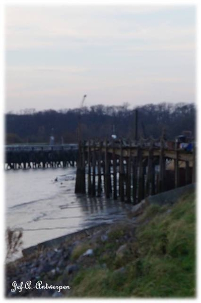 Antwerpen, Jef-A., Natuurfoto's, Scheldeboord,