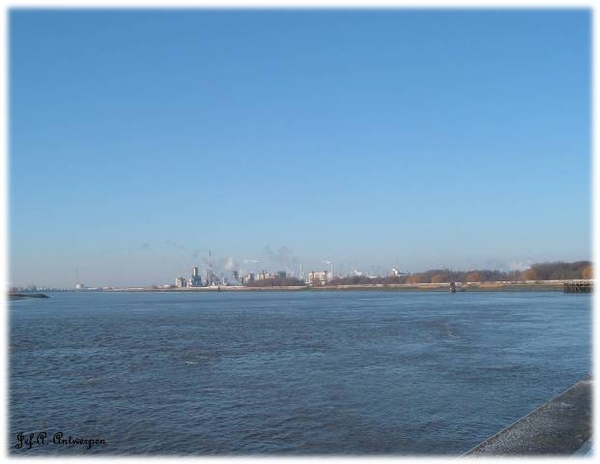 Antwerpen, Jef-A., Natuurfoto's, Scheldeboord,