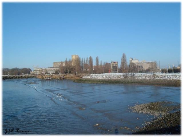 Antwerpen, Jef-A., Natuurfoto's, Scheldeboord,