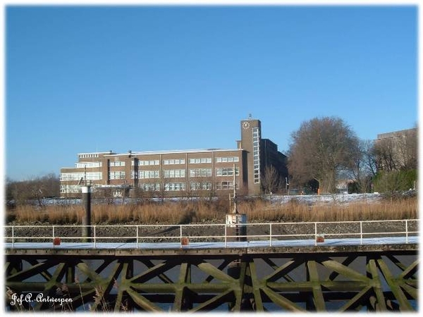 Antwerpen, Jef-A., Natuurfoto's, Scheldeboord,