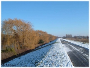 Op de dijk tussen Schelde en Noordkasteel.