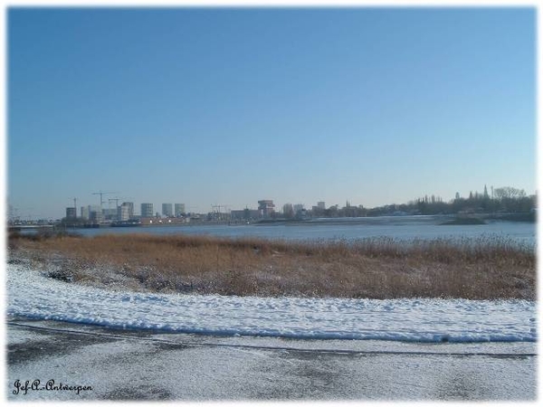 Antwerpen, Jef-A., Natuurfoto's, Scheldedijk, Noordkasteel