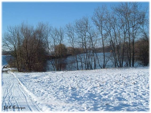 Antwerpen, Jef-A., Natuurfoto's, Scheldedijk, Noordkasteel