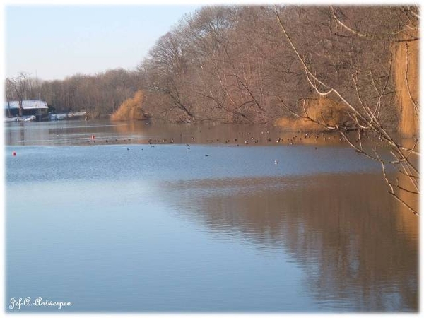 Antwerpen, Jef-A., Natuurfoto's, Noordkasteel