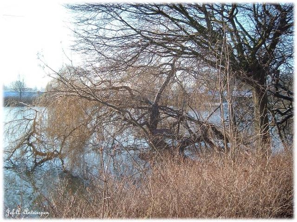 Antwerpen, Jef-A., Natuurfoto's, Noordkasteel