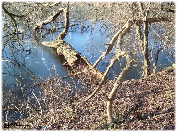 Antwerpen, Jef-A., Natuurfoto's, Noordkasteel