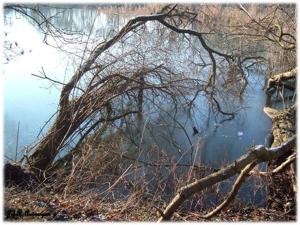 Antwerpen, Jef-A., Natuurfoto's, Noordkasteel