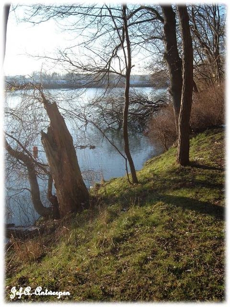 Antwerpen, Jef-A., Natuurfoto's, Noordkasteel