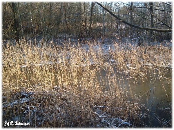 Antwerpen, Jef-A., Natuurfoto's, Noordkasteel