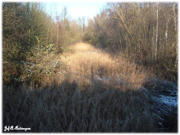 Antwerpen, Jef-A., Natuurfoto's, Noordkasteel