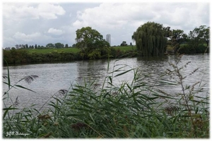 Uitzichten vanaf het Noordkasteel.