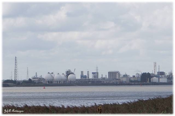 Antwerpen, Jef-A., Natuurfoto's, Noordkasteel