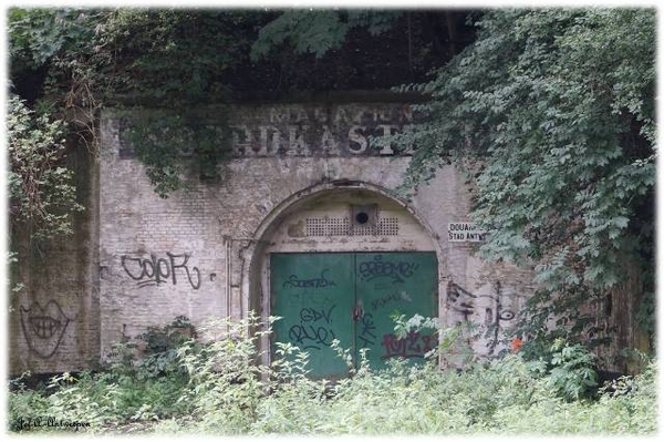 Antwerpen, Jef-A., Natuurfoto's, Noordkasteel