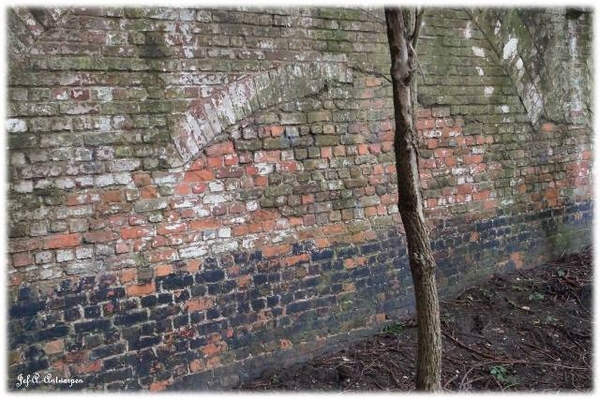 Antwerpen, Jef-A., Natuurfoto's, Noordkasteel