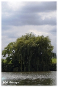 Natuur in ’t Noordkasteel.