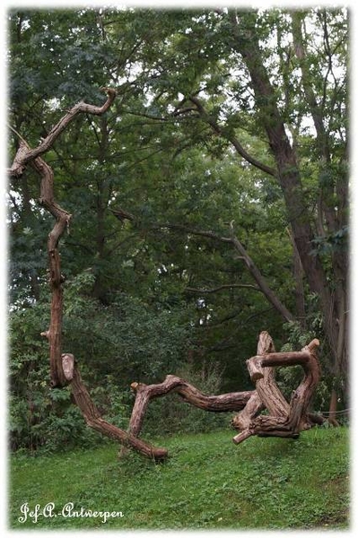 Natuur in ’t Noordkasteel.