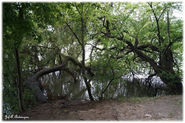 Antwerpen, Jef-A., Natuurfoto's, Noordkasteel