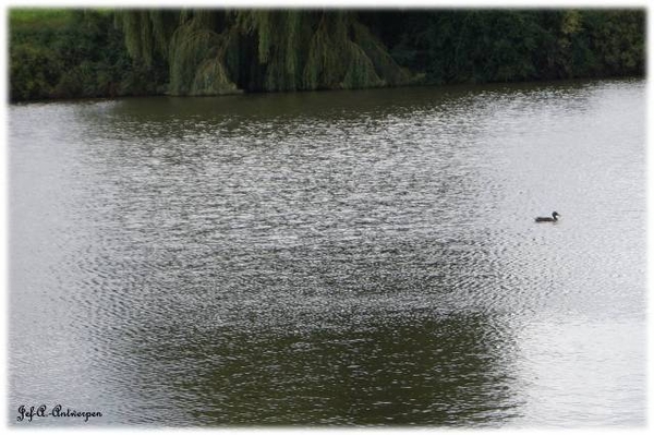 Antwerpen, Jef-A., Natuurfoto's, Noordkasteel